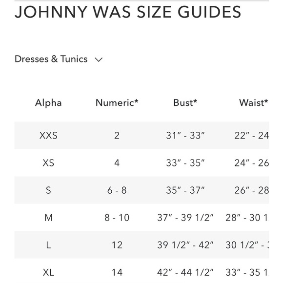 ⭐️ Johnny Was Chic Boho Sundress - Picture 5 of 5